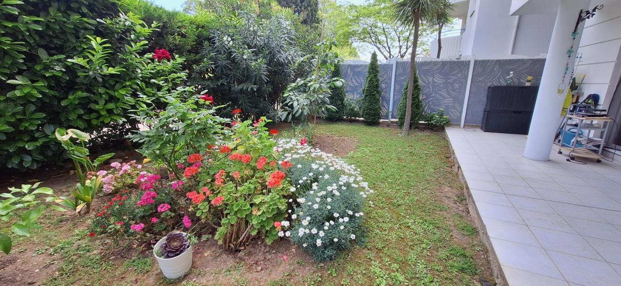 Apartment Avec Terrasse, Jardin Privatif Et Piscine A Cannes